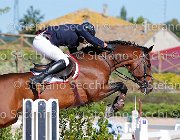 Apolloni Baby Arko GioCav2013 S5 1894 : Apolloni Gianluca, Baby Arko, Campionati Italiani Giovani Cavalli, Cattolica, ph Stefano Secchi ©